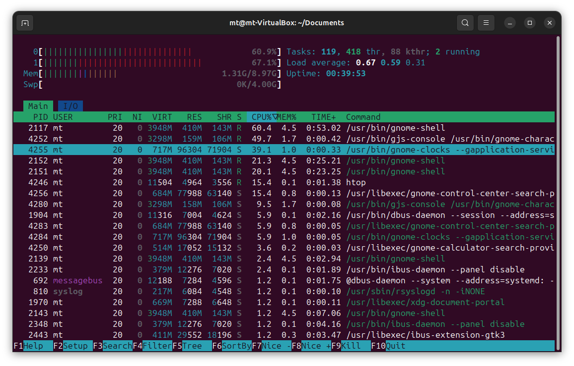 htop.png