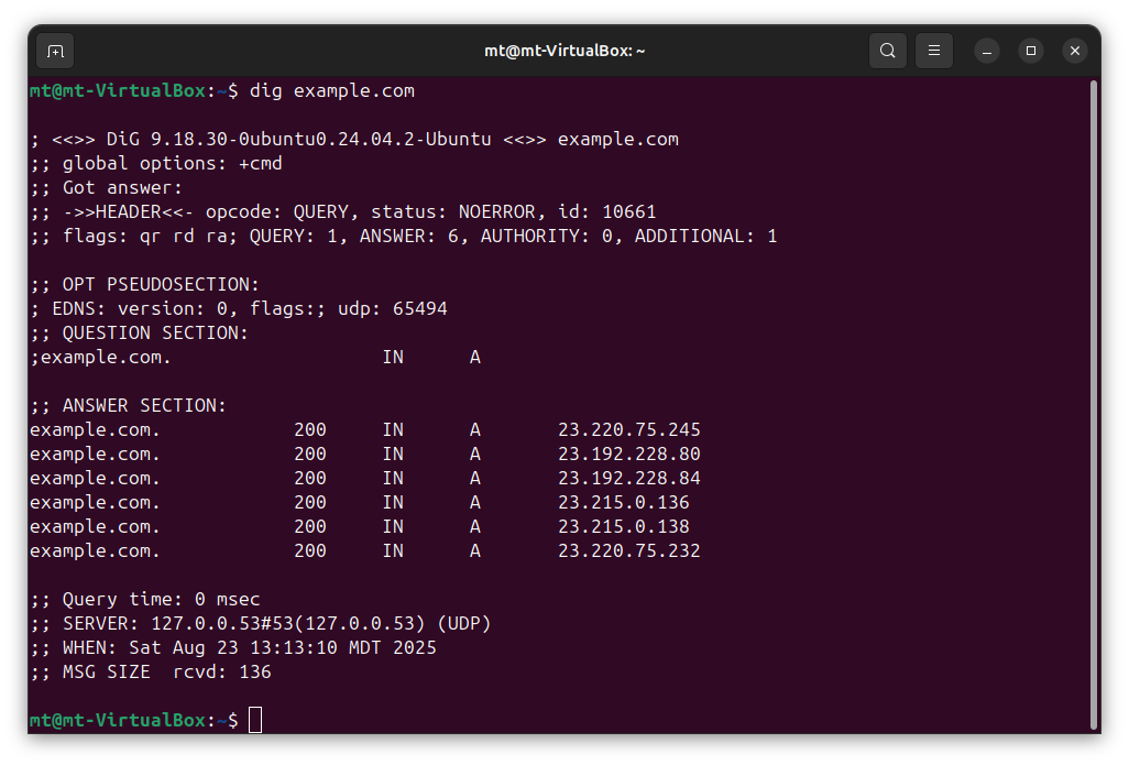 dig output