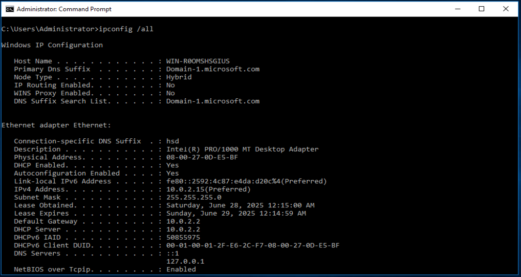 Windows ipconfig /all output