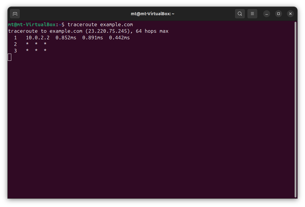 traceroute output