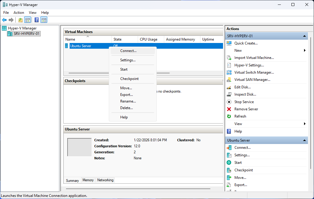 Ubuntu Server 24.04 installation step 29