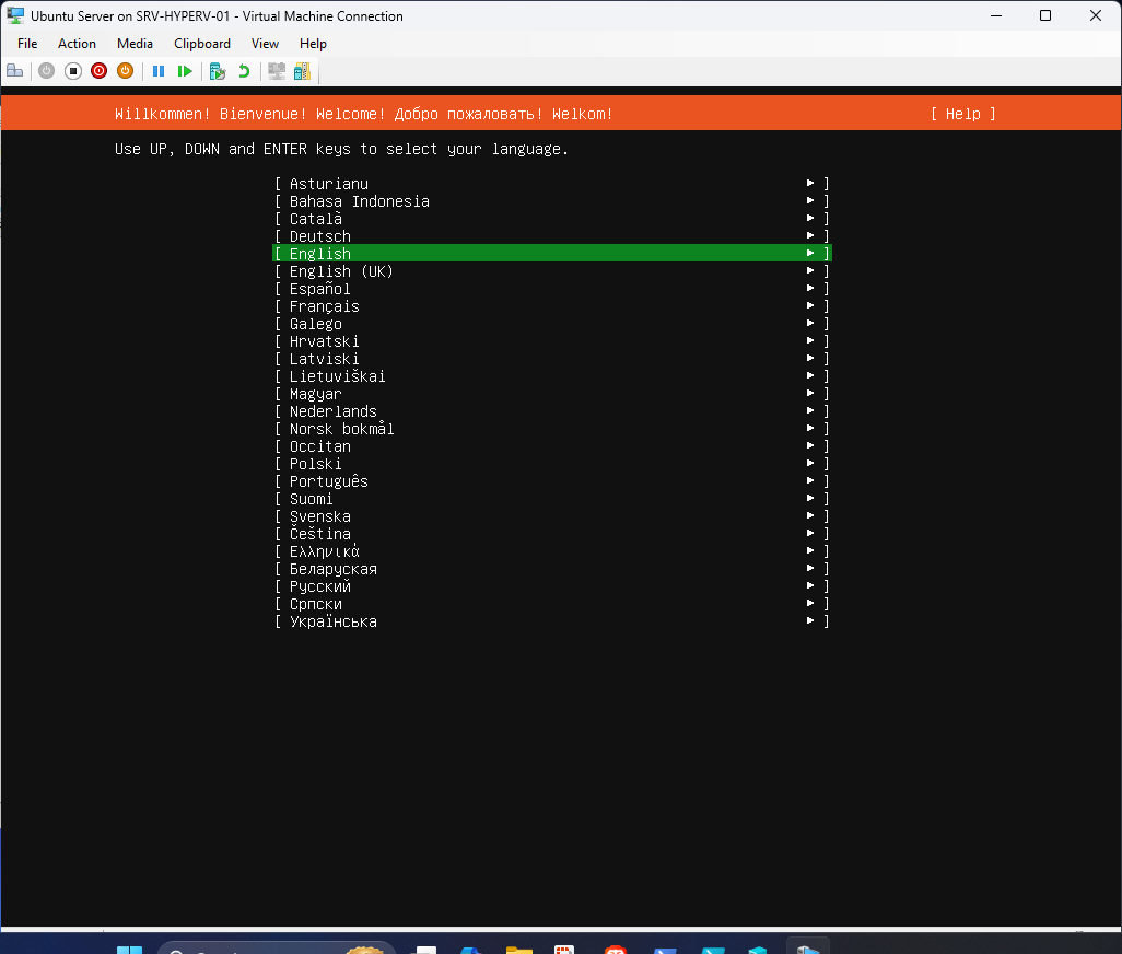 Ubuntu Server 24.04 installation step 33