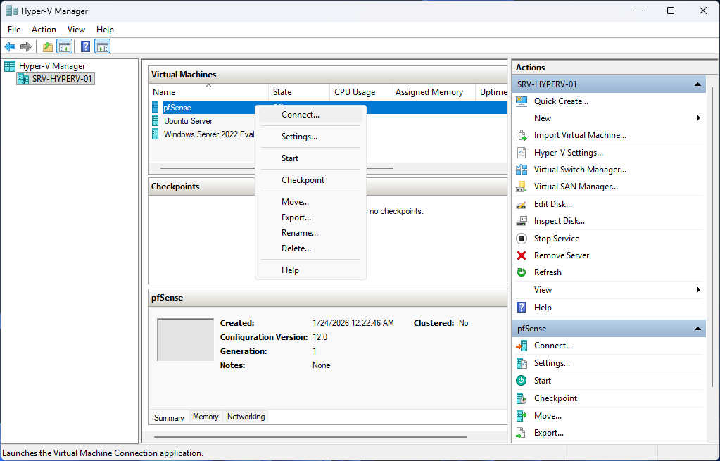 pfSense installation step 14