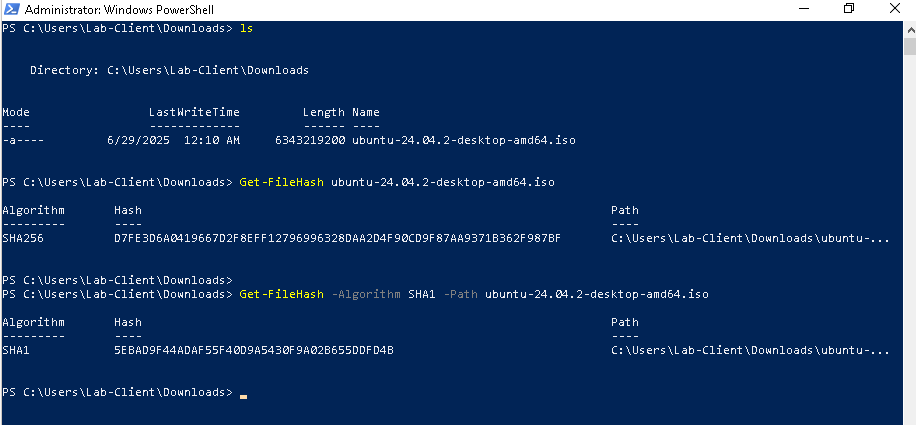 GetFileHash1.png