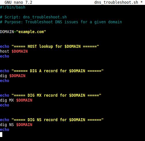 dnsscriptcode.png