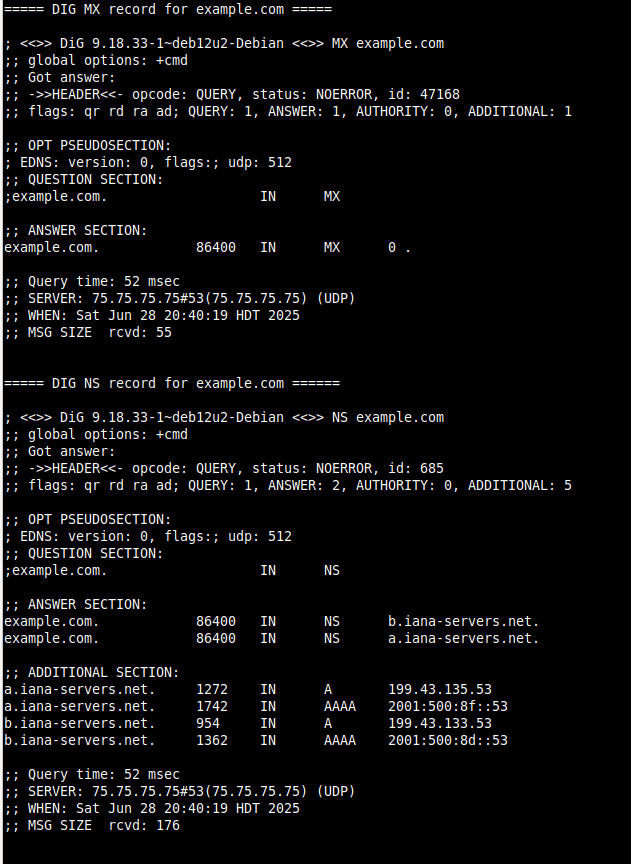 dnsscriptrun.2.png