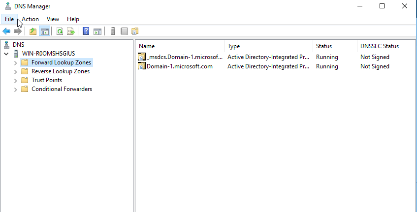 dns-2.PNG