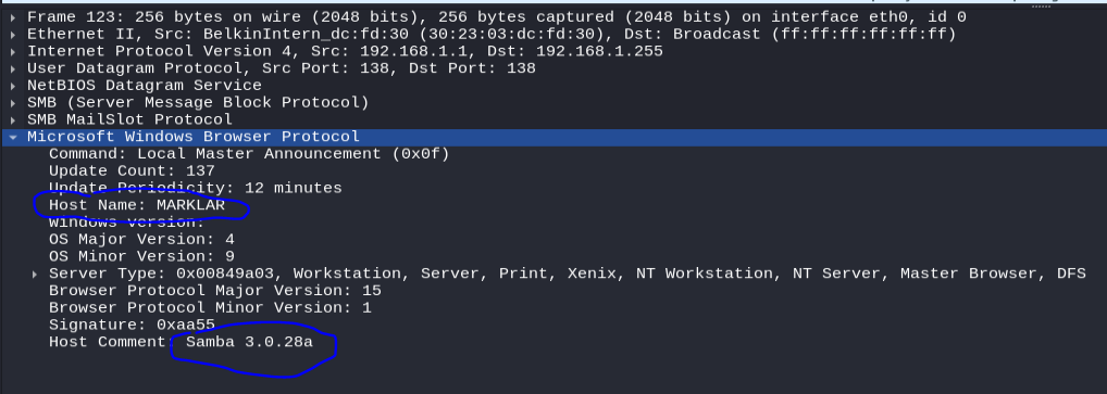 Wireshark enumeration panel 2