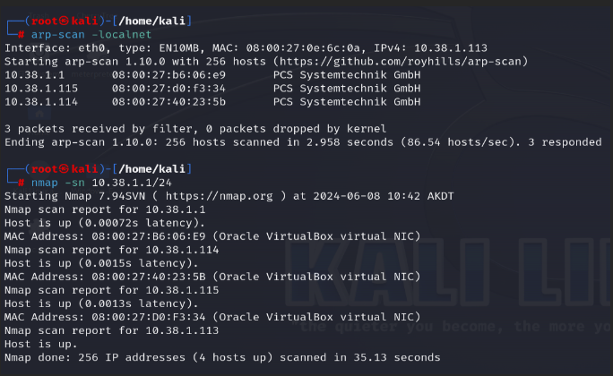 ARP scan + Nmap ping scan output