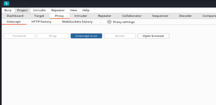 Burp Proxy Intercept ON