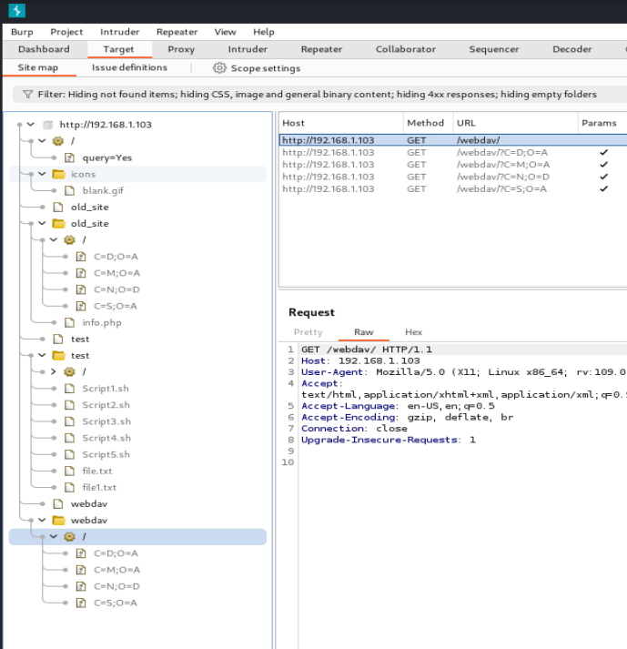 Burp Suite site map