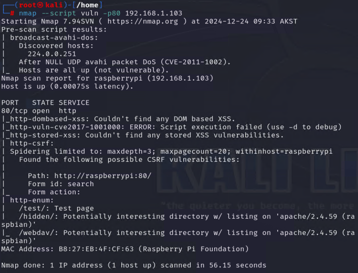 Nmap vulnerability scan results