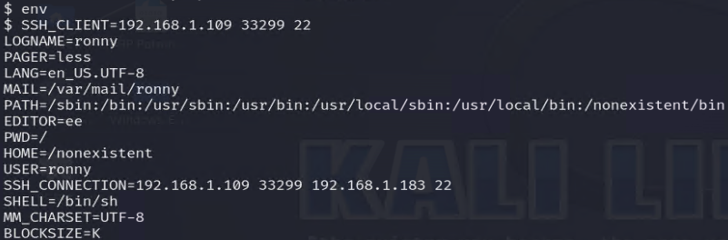Environment inspection showing missing TERM variable