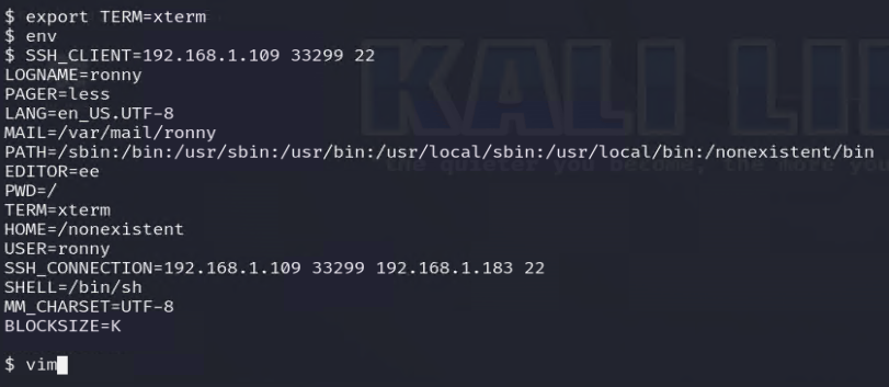Exporting TERM=xterm so vim behaves correctly