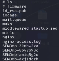 Verifying id_rsa.pub exists on the NAS in /tmp