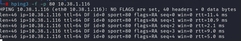 hping fragmented packets