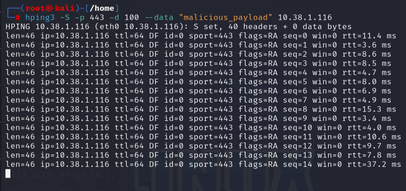 hping data injection