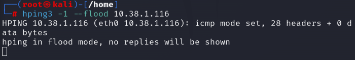 hping ICMP flood
