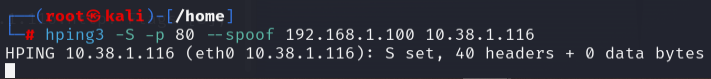 hping Spoofed Traffic
