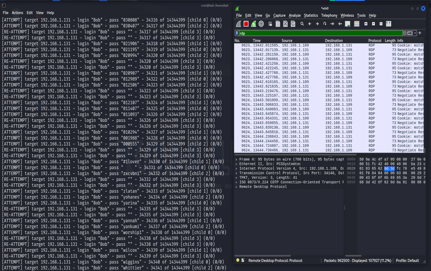 Hydra brute force step 5