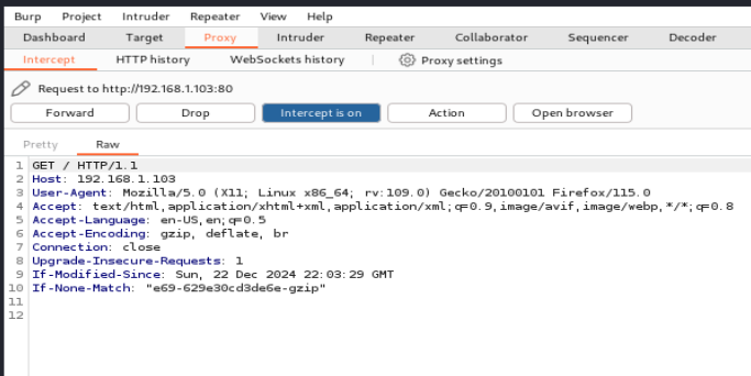 Burp Suite Captured GET Request