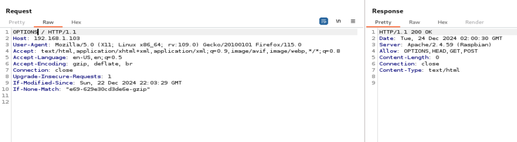 Burp Suite 3 OPTIONSRequestModify.PNG