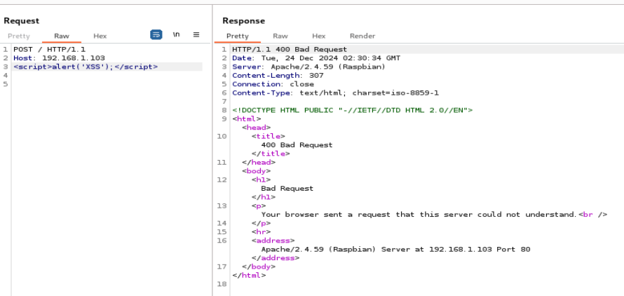 Burp Suite Repeator 5 BadRequest