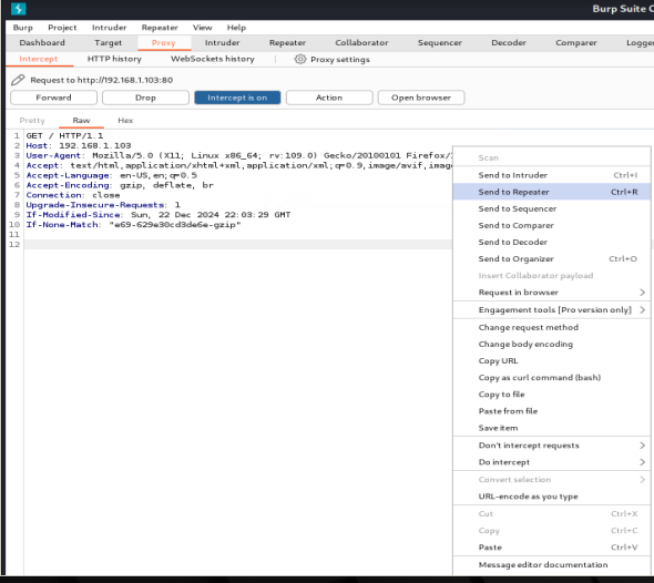 Burp Suite Send to Repeator