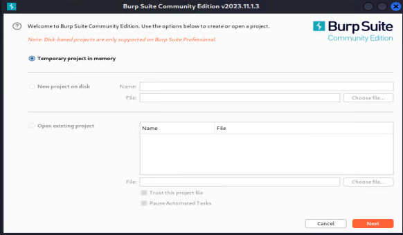 Burp Suite Start