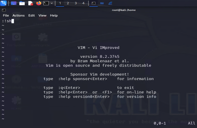 Using :!sh inside vim to spawn a shell