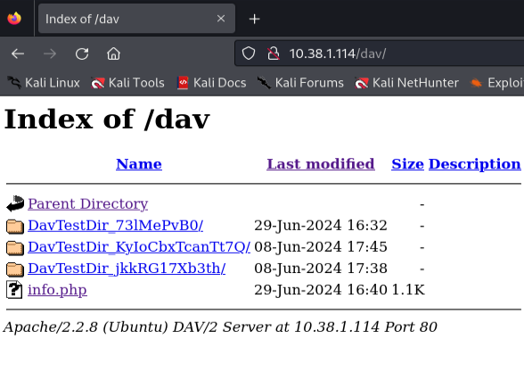 Executing Payload