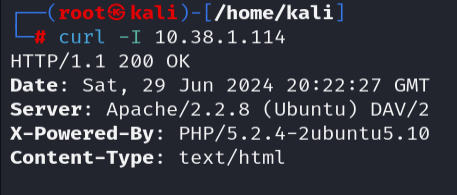 Recon with curl