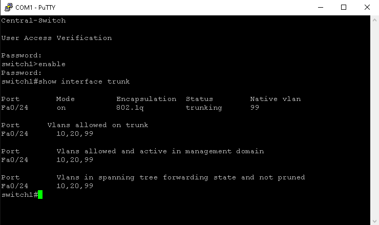 trunkconfig2.png