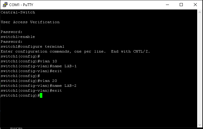 vlan1.png