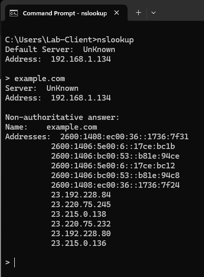 Final dnsmasq verification