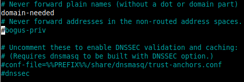 Testing DNS resolution